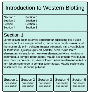 guide-layout