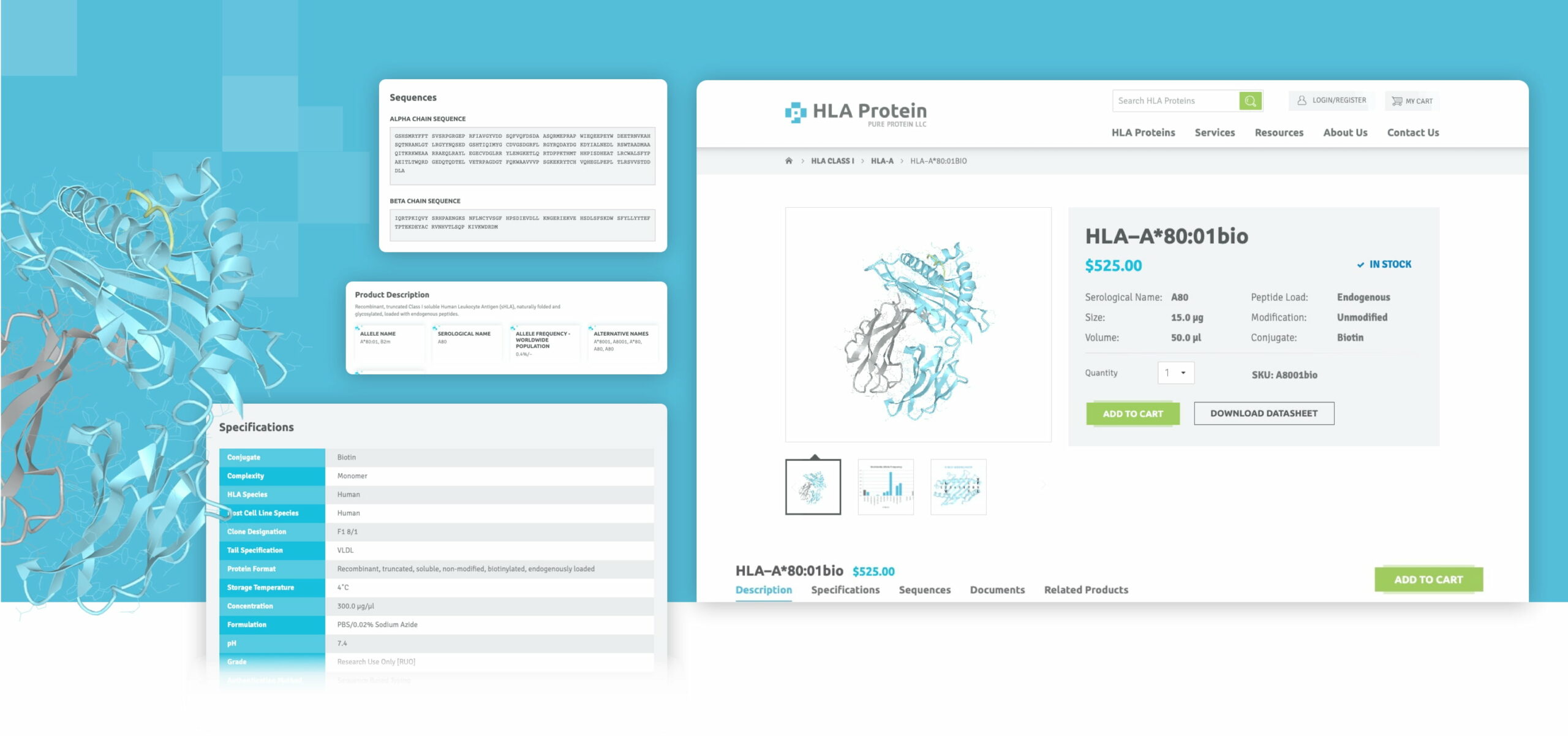 product-page-hla-protein@2x