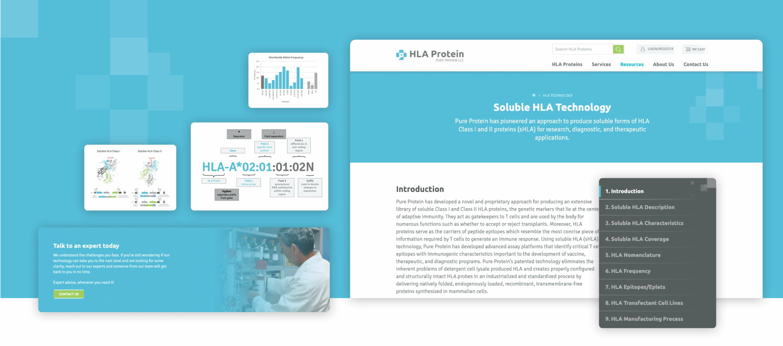 soluble-hla-hla-protein@2x