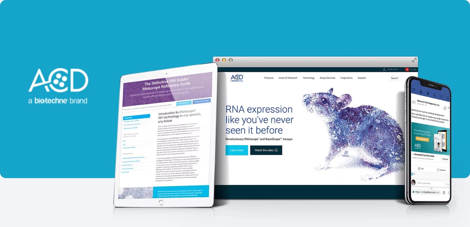 acd-wide-case-study