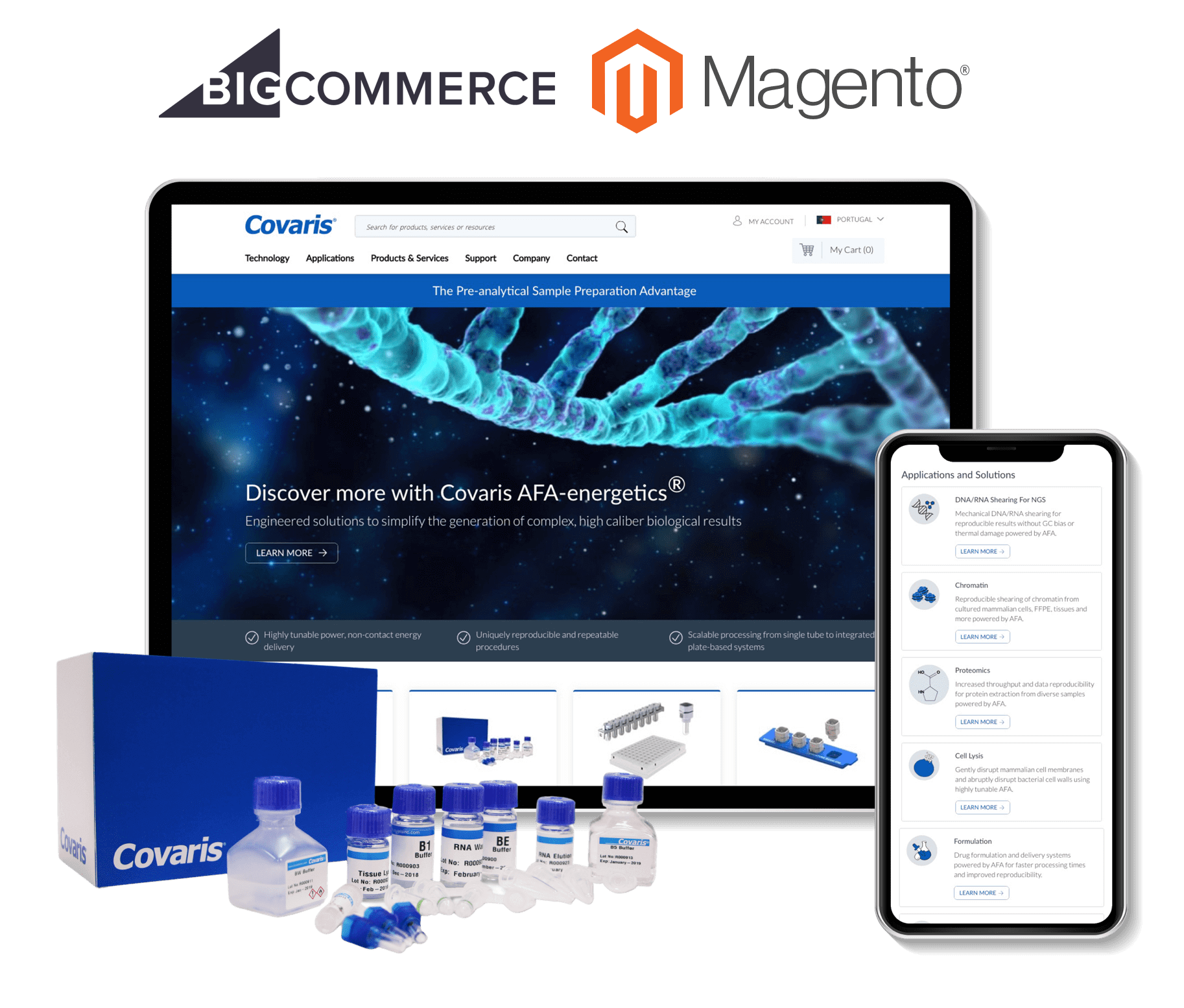 BigCommerce and Magento Web Development